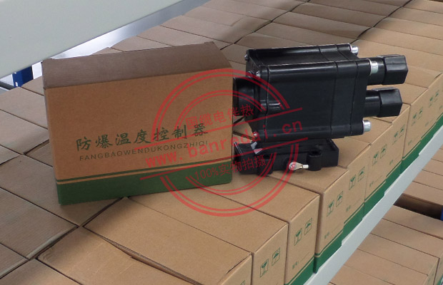 BJW防爆溫度控制器，型號(hào)：BJW51-120/E507S-LSC